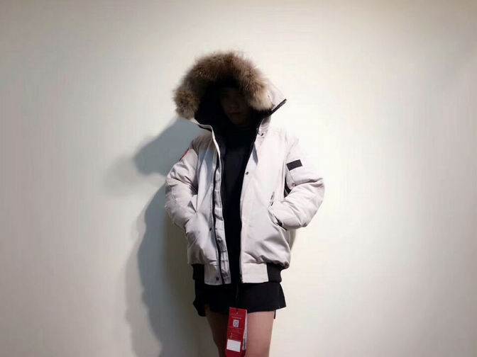 canada goose-020